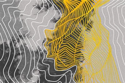 Alfombrillas 3d Para Renault Duster